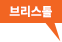 브리스톨